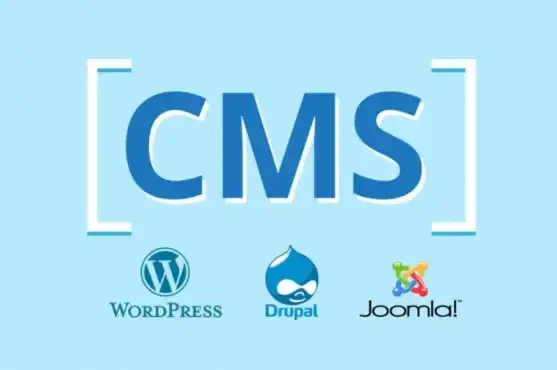 网站建设用什么cms系统好，哪套建站cms比较好用